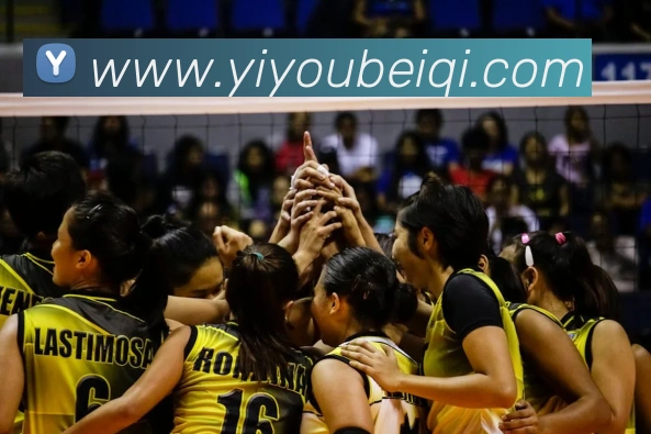 必一运动APP 高清赛事图